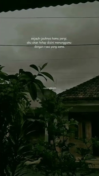 story wa 30 detikk || Darari Treasure #storywhatsapp #tiktokviral