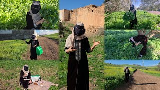 Download Lagu المشية للأرض ديال جدودك فيها راحة خاصة… كتفكر الواحد فالأصل ديالو وذكريات زمان. واش لقيتيها  MP3