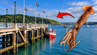 How To Catch SQUID from The SHORE In The UK
