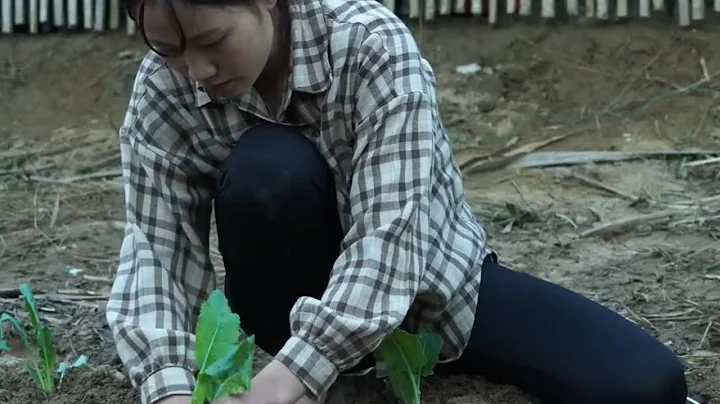 Building a New Life Alone: Single Mother Completes Bamboo House & Starts Garden