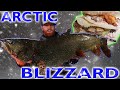 Big Lake Trout - Ice Fishing in an Arctic Blizzard - Catch and Cook Fish Tacos