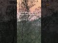 Shaam dhalti hai… par kuch yaadein kabhi nahi dhalti 🌅