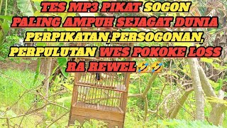EDISI GAGAL MIKAT||Tes mp3 pikat sogon paling ampuh,😁