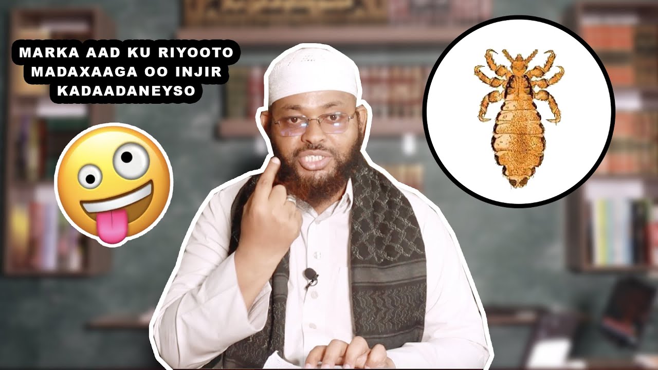 Waxaan Ku Riyaadaa Anigoo Madaxa Injir iga gashay Waa Maxay Macnuhu?🤔