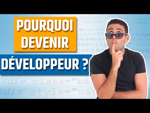 Vidéo: Pourquoi être programmeur informatique ?