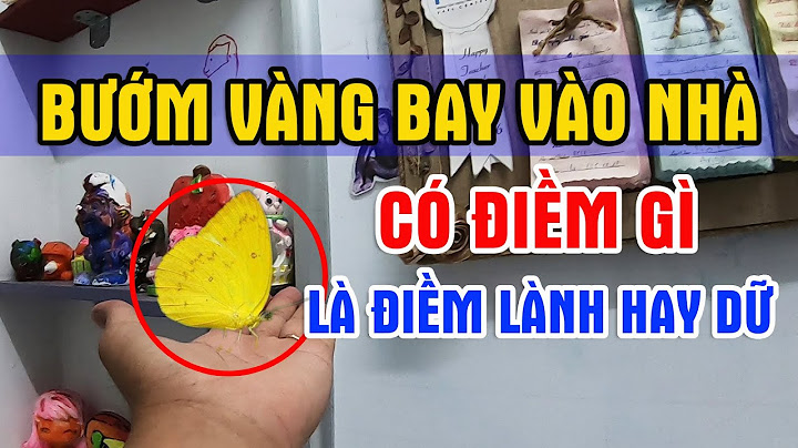 Bướm màu vàng bay vào nhà là điềm gì năm 2024