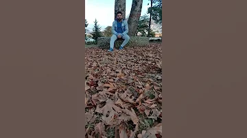 Noyan Sound Tiktok Famous Sound Artugalghazi Turkishdrama Noyan Sound 