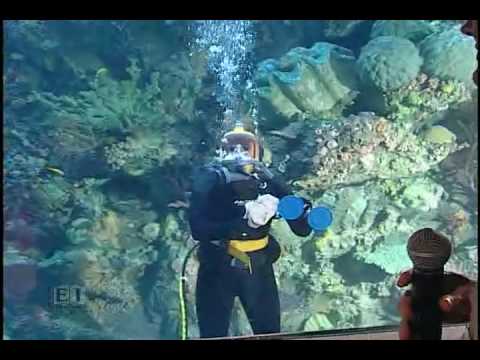 Fort Wayne Children's Zoo: Underwater Interview