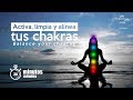 Alineacion de CHAKRAS. Limpiar los 7 chakras. Comprobado!