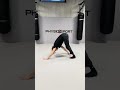 Ischios quadruped toe touch