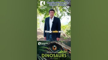 Unbelievable Find: Blood & Soft Tissue in Dinosaur Fossils!