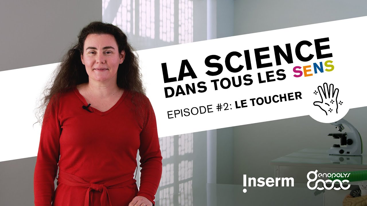La Science dans tous les sens : le toucher
