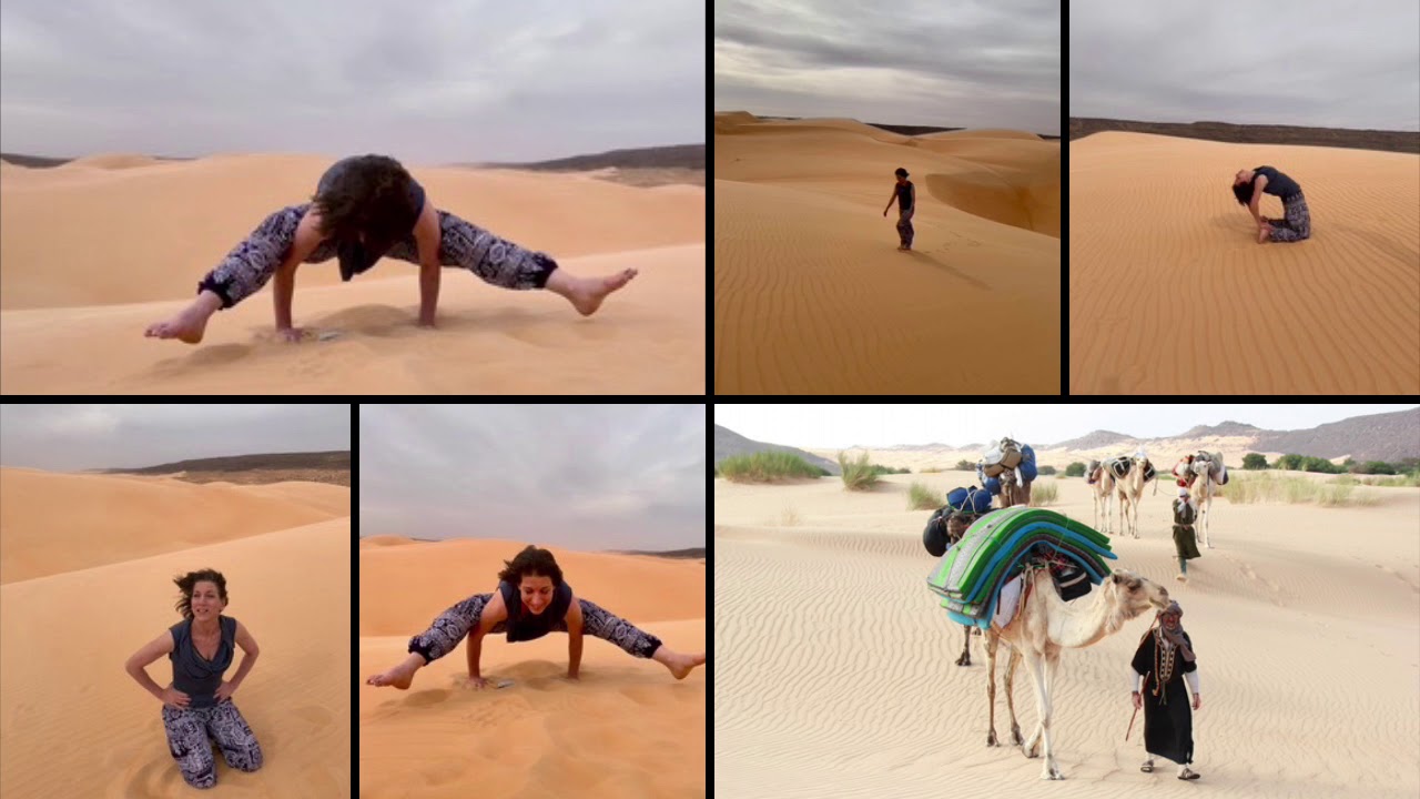 Head in the Sand YouTube