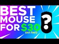 THIS is PROBABLY the BEST mouse you can get for $30!