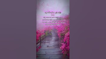 سوره فرقان آیات ۲۷ تا ۳۰ ،گوینده #بهروز_رضوی ، مترجم#مسعود_ریاعی #ترجمه_فارسی_قرآن