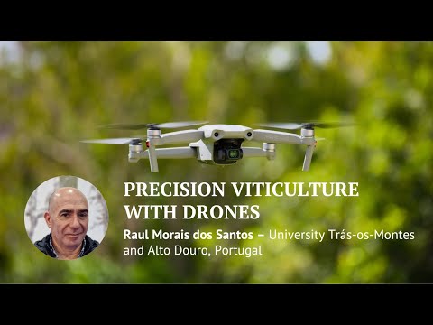 Precision Viticulture with Drones: GPR, Hyperspectral Sensors and Deep Learning