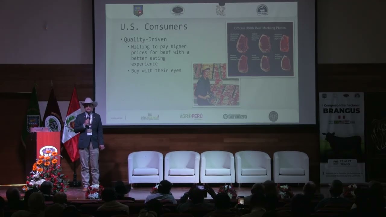 Innovación y sostenibilidad en la cría de Brangus: El futuro de la raza en la ganadería mundial