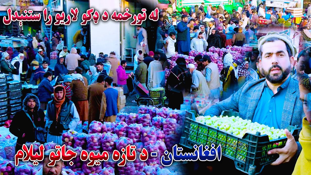 جلال اباد د تازه میوو منډۍ اوسنی وضیعت Afghanistan–Pakistan Trade Halt ...