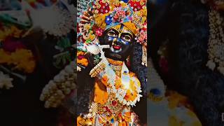 krishna darshan jhanki#viralshortvideo