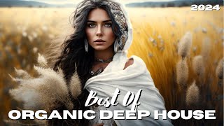 Cafe De Anatolia ETHNO WORLD - Organic Deep House (Mix by Alex Manzo DJ) 2024