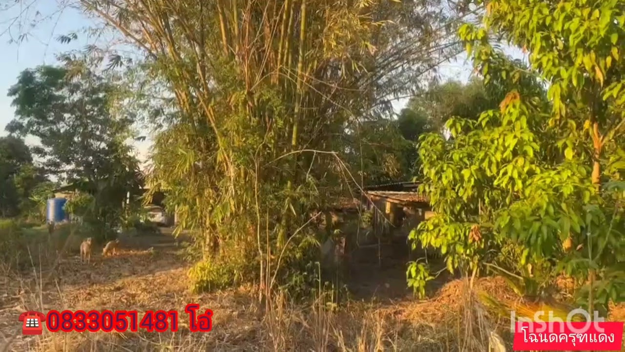💥ขายที่ดินสวนผสมและที่นา7ไร่99ตรว.ไร่ละ 175,000บาท ฟรีค่าโอน🎉🎉ต.คำโตนด อ.ประจันตคาม จ.ปราจีนบุรี