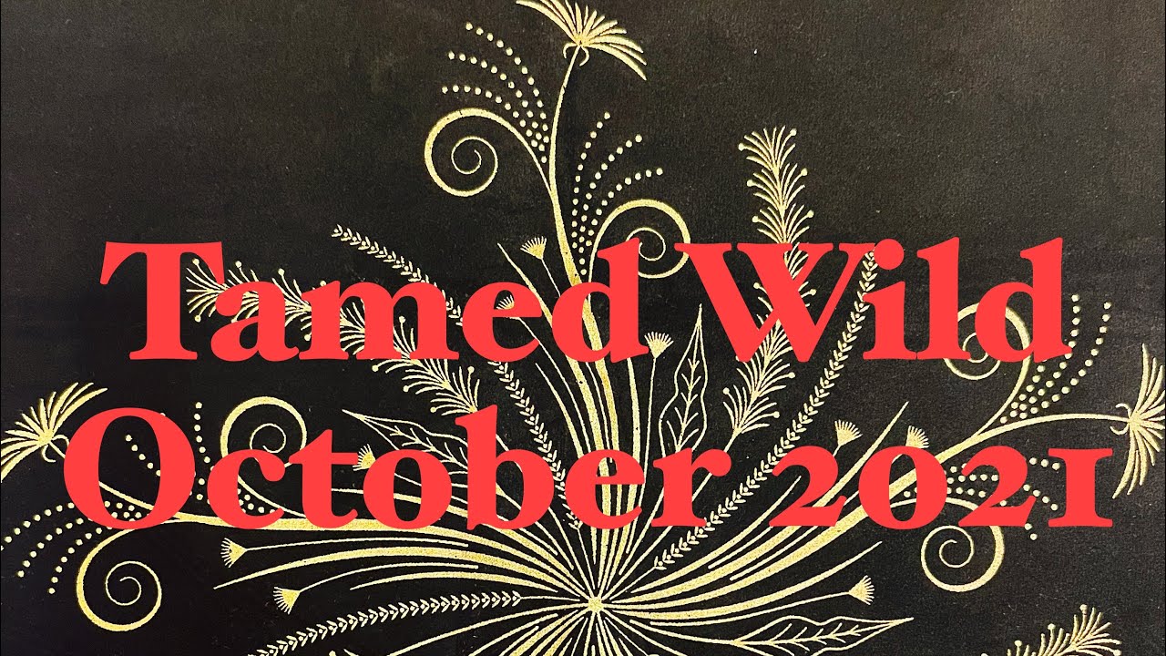 Tamed Wild Box (unboxing October 2021) YouTube