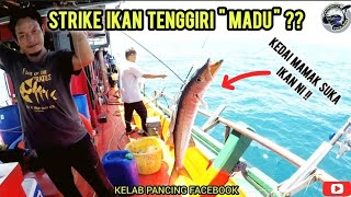 STRIKE IKAN TENGGIRI "MADU" ?? KEDAI MAMAK MEMANG SUKA IKAN NI MASAK KARI..!!