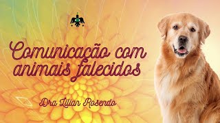 Animais Falecidos  - Comunicação Animal