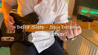 Delta Sleep - Spy Dolphin (Guitar Cover)