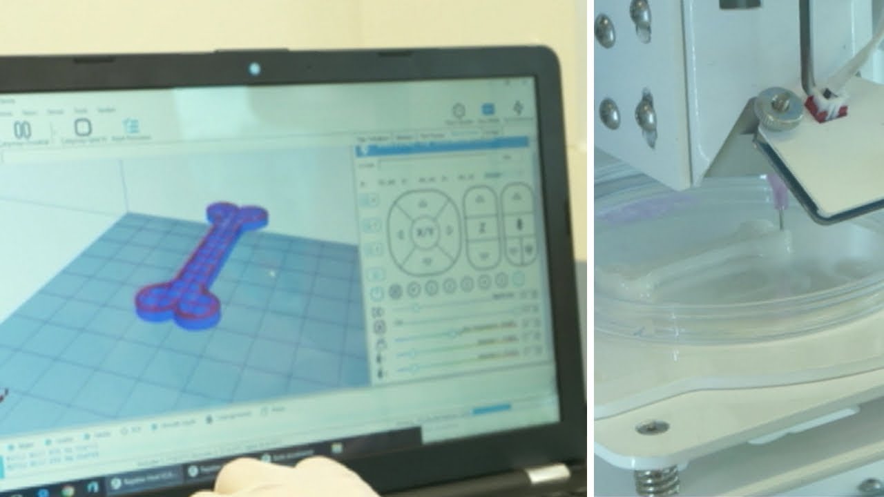 طباعة الخلايا الجذعية الحيوانية بشكل ثلاثي الأبعاد وباستخدام الحبر الحيوي