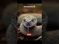 “The Snake That Fakes Death Like a PRO — You Have to See This!”#facts 🐍