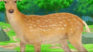 My Deer Friend Nokotan Torako Koshi Warns About Copyright Infringement English Dub
