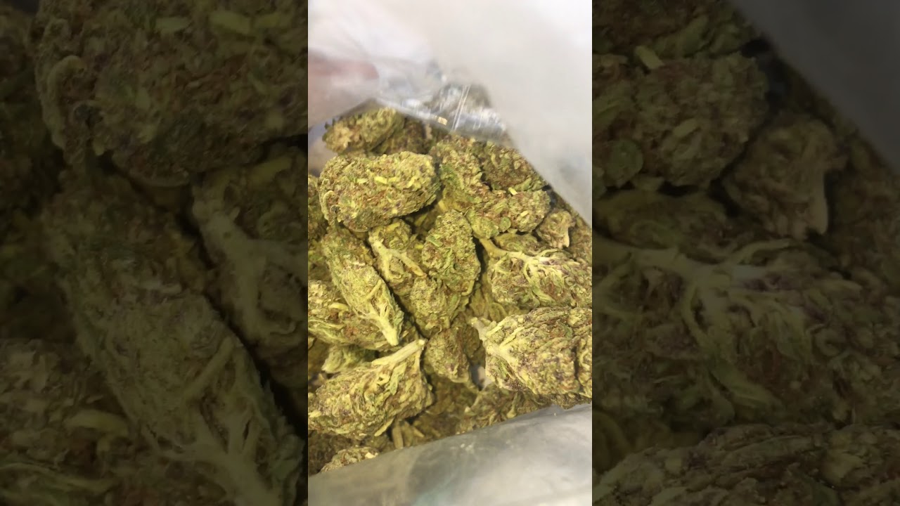 Super silver haze review