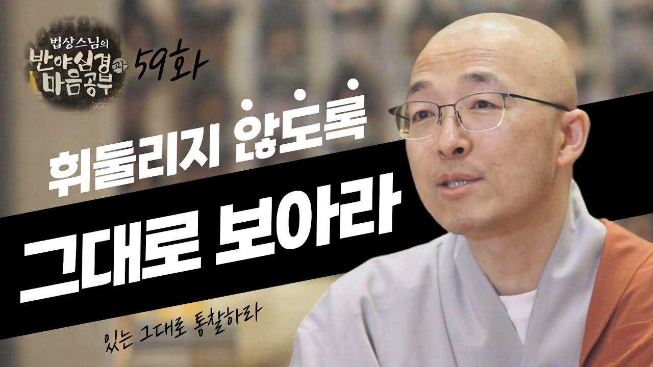 있는 그대로를 통찰하라, 아니면 평생 휘둘리며 살 것이다 - [법상스님의 반야심경과 마음공부 59회]