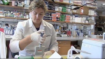 Clare Smith, PhD, examines role of genetics in TB infection