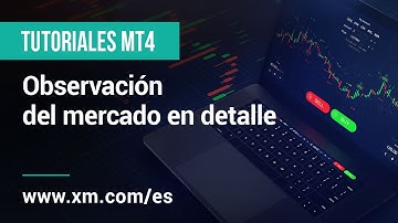 XM.COM - Tutoriales MT4 - Observación del mercado en detalle