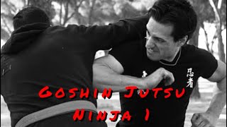 LESSON #15: Goshin Jutsu Ninja n.1