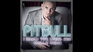 I Know You Want Me - Pitbull - Calle Ocho - Edit Gabilan Dj - Aleteo Guaracha Remix