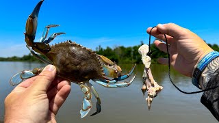 Menangkap Kepiting Biru Dengan Tali | Tangkap dan Masak