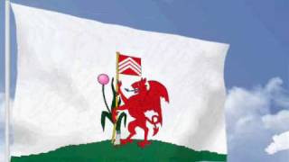 Flag of Cardiff (Wales)