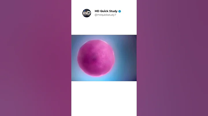 DNA🧬To Protein Synthesis in 3D Animation | Biology in Real life #biology #dna #protine #animation