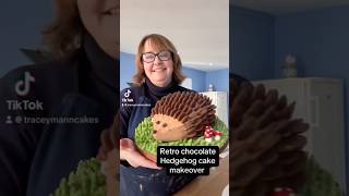 Retro chocolate hedgehog cake #fyp #cake #cakedesign #hedgehogsofinstagram