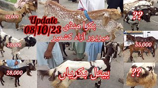 Mirpur Bakra Mandi | Live Deal | Sunday Bakra Bazaar | Mirpur Azad Kashmir | Latest Update 2023 |