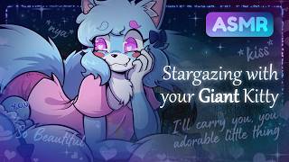 ASMR 💙 Stargazing with your Giant Catboy (M4A, Size Difference, Ambience)