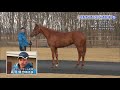 【POG】2歳馬カタログ2018 Part.1 / JRA-VAN[公式]