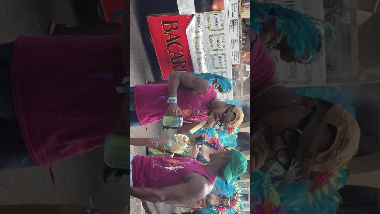 Mardi Gras Parade Vincy Mas 2019 part 1