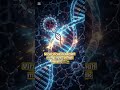 DNA virus kuno