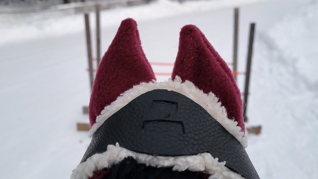 Ääniraidallinen estevideo talvimaisemissa❄️🌡️