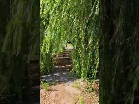 База отдыха Арабатская