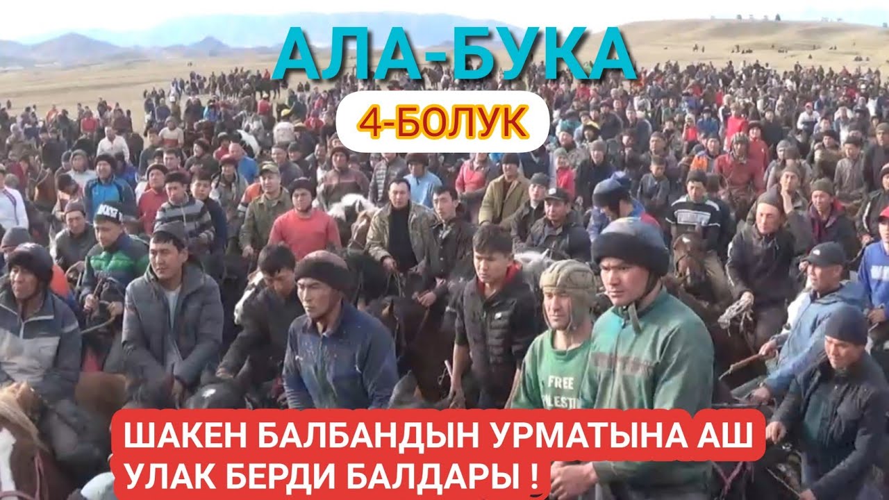 ШАКЕН БАЛБАНДЫН УРМАТЫНА АШ УЛАК БЕРДИ БАЛДАРЫ  АКЫРКЫ БОЛУК /КАНАЛДЫН НОМЕРИ 0773499079